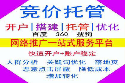 案例研究：SEM开户助力电商快速崛起